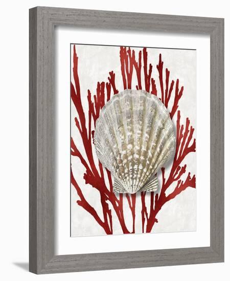 Shell Coral Red IV-Caroline Kelly-Framed Art Print