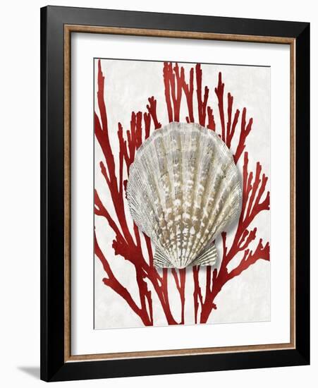 Shell Coral Red IV-Caroline Kelly-Framed Art Print