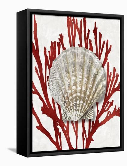 Shell Coral Red IV-Caroline Kelly-Framed Stretched Canvas