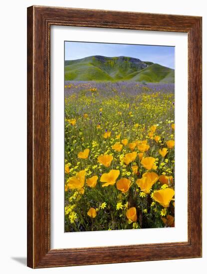 Shell Creek, California-Bob Gibbons-Framed Photographic Print