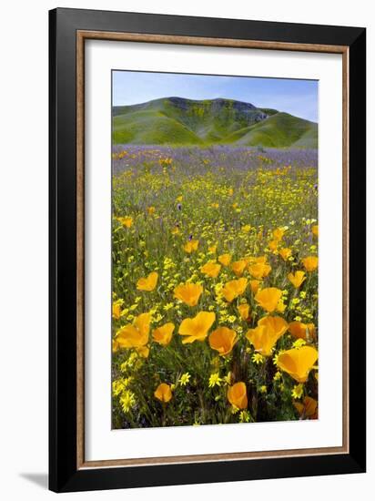 Shell Creek, California-Bob Gibbons-Framed Photographic Print