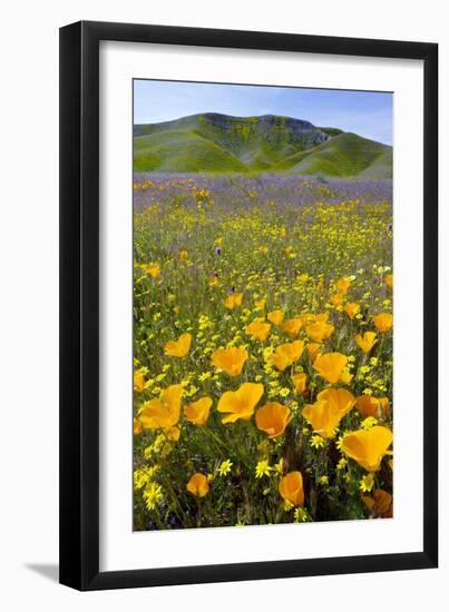 Shell Creek, California-Bob Gibbons-Framed Photographic Print