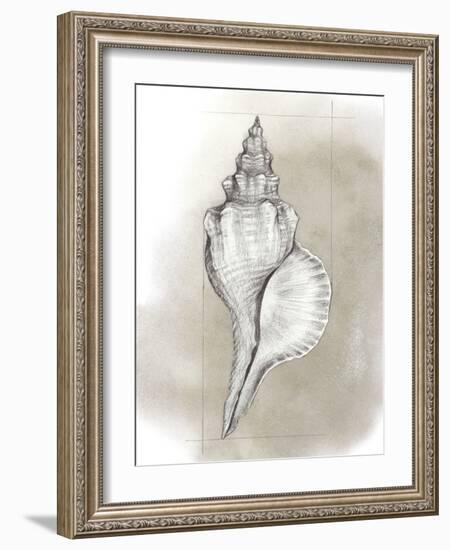 Shell Diagram I-Grace Popp-Framed Art Print