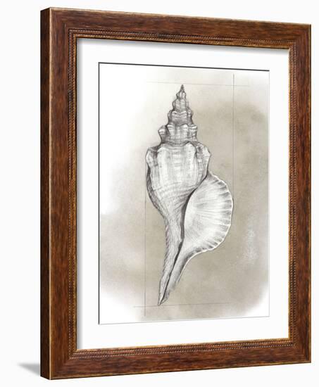 Shell Diagram I-Grace Popp-Framed Art Print