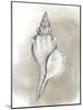 Shell Diagram I-Grace Popp-Mounted Art Print