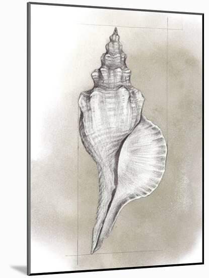 Shell Diagram I-Grace Popp-Mounted Art Print