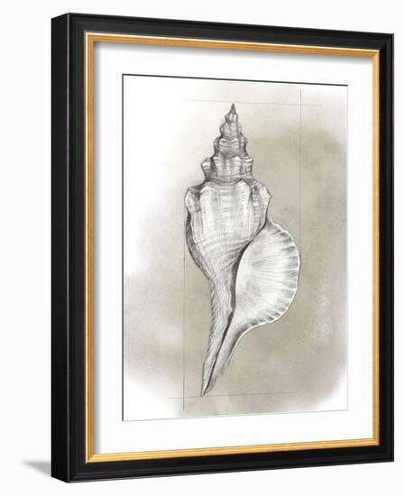 Shell Diagram I-Grace Popp-Framed Art Print