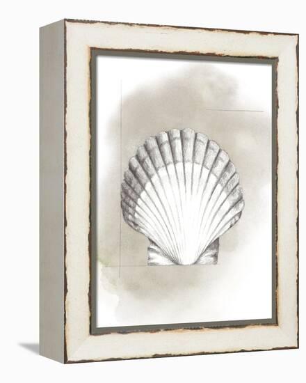 Shell Diagram II-Grace Popp-Framed Stretched Canvas