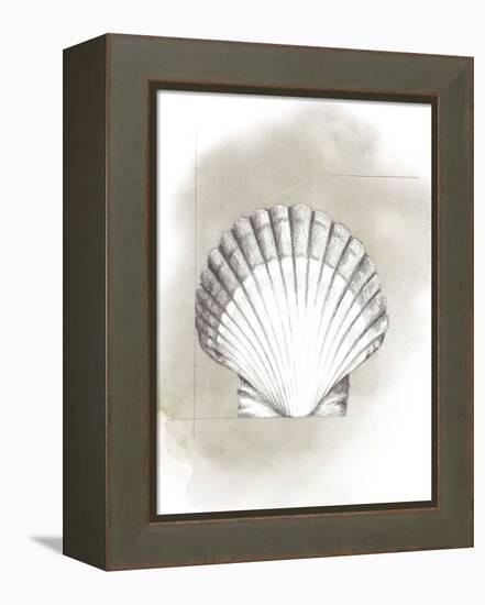 Shell Diagram II-Grace Popp-Framed Stretched Canvas