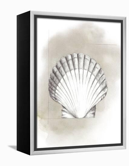 Shell Diagram II-Grace Popp-Framed Stretched Canvas