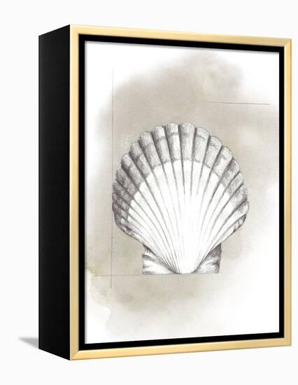 Shell Diagram II-Grace Popp-Framed Stretched Canvas