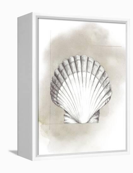 Shell Diagram II-Grace Popp-Framed Stretched Canvas
