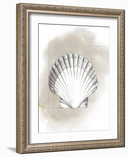 Shell Diagram II-Grace Popp-Framed Art Print