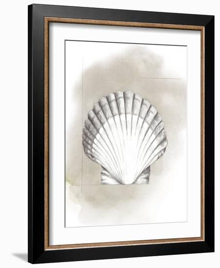 Shell Diagram II-Grace Popp-Framed Art Print