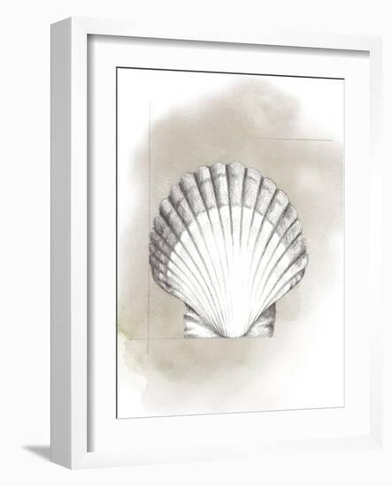 Shell Diagram II-Grace Popp-Framed Art Print