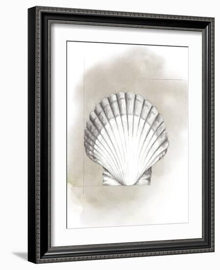 Shell Diagram II-Grace Popp-Framed Art Print