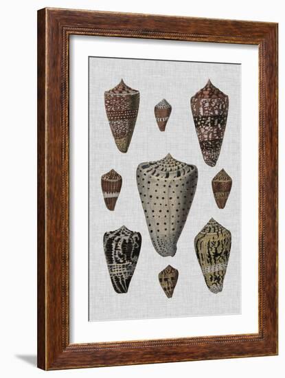 Shell Display I-Denis Diderot-Framed Art Print