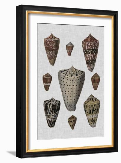 Shell Display I-Denis Diderot-Framed Art Print