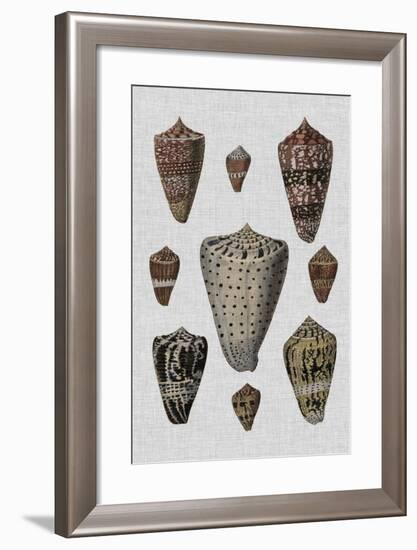 Shell Display I-Denis Diderot-Framed Art Print