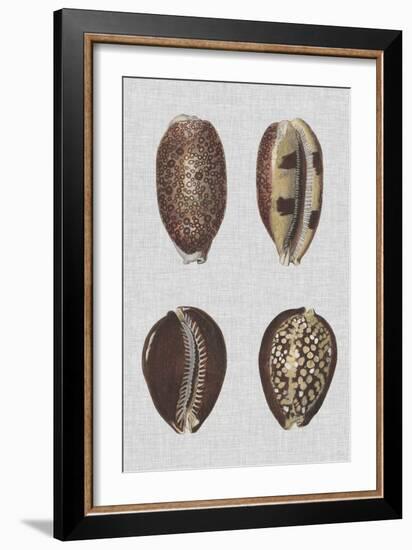 Shell Display III-Denis Diderot-Framed Art Print