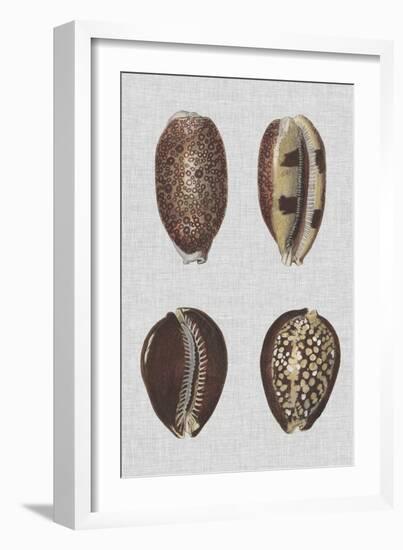 Shell Display III-Denis Diderot-Framed Art Print