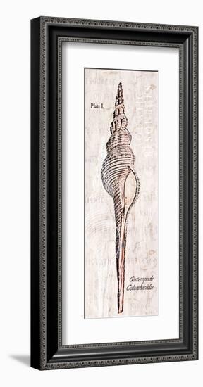 Shell: Gastropoda Cerithiidae, Deep Water Sea Snail-Christine Zalewski-Framed Art Print