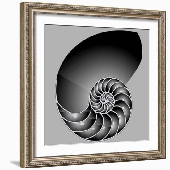 Shell Half-williammpark-Framed Art Print