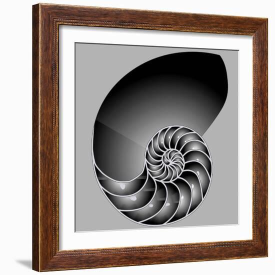 Shell Half-williammpark-Framed Art Print