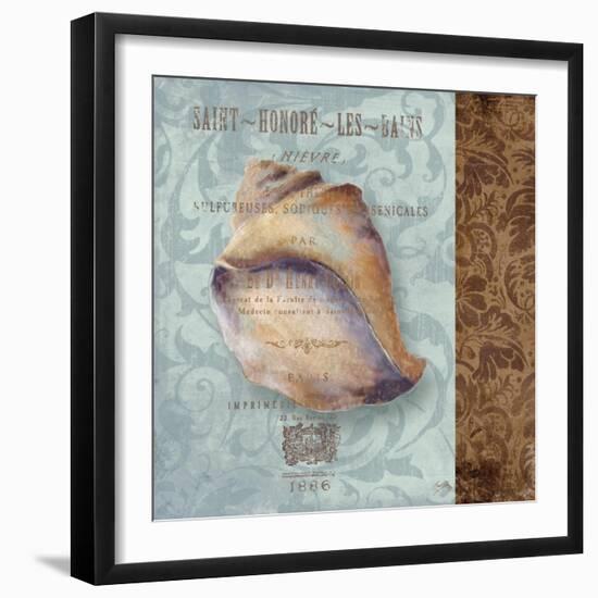 Shell II-Elizabeth Medley-Framed Art Print