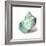 Shell in Mint-Aimee Wilson-Framed Art Print