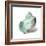 Shell in Mint-Aimee Wilson-Framed Art Print