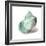 Shell in Mint-Aimee Wilson-Framed Art Print