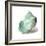 Shell in Mint-Aimee Wilson-Framed Art Print