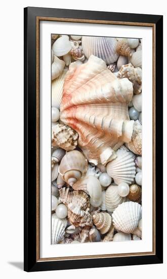 Shell Menagerie I-Rachel Perry-Framed Photographic Print