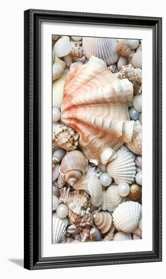 Shell Menagerie I-Rachel Perry-Framed Photographic Print