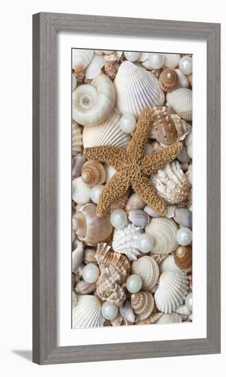 Shell Menagerie II-Rachel Perry-Framed Photographic Print