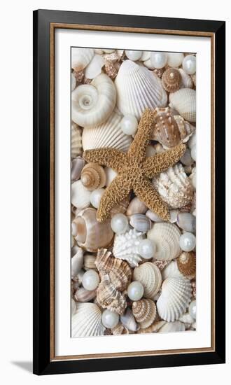 Shell Menagerie II-Rachel Perry-Framed Photographic Print