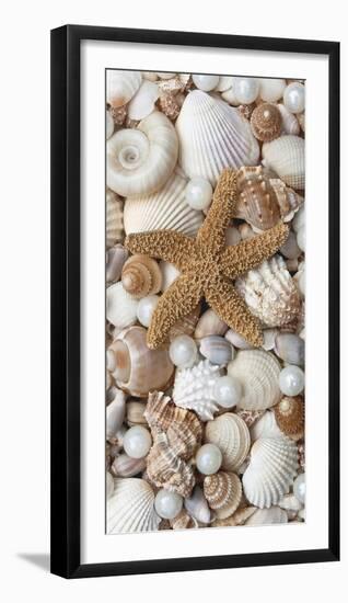 Shell Menagerie II-Rachel Perry-Framed Photographic Print