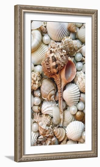 Shell Menagerie III-Rachel Perry-Framed Photographic Print