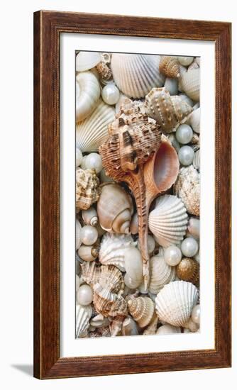 Shell Menagerie III-Rachel Perry-Framed Photographic Print