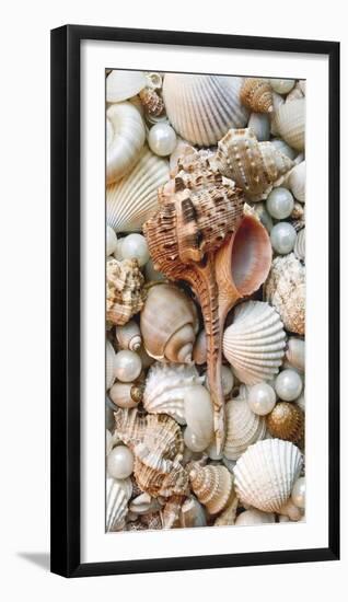 Shell Menagerie III-Rachel Perry-Framed Photographic Print