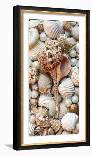 Shell Menagerie III-Rachel Perry-Framed Photographic Print