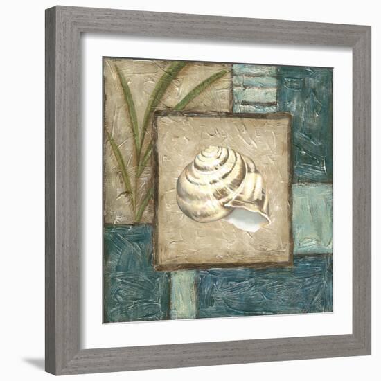 Shell Montage III-Vision Studio-Framed Art Print