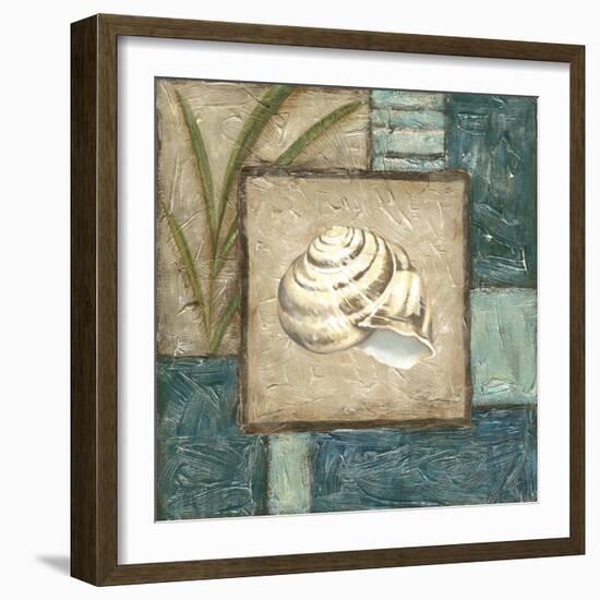 Shell Montage III-Vision Studio-Framed Art Print