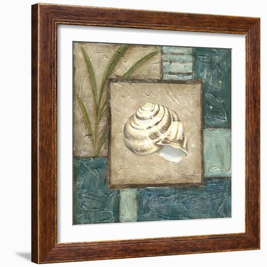 Shell Montage III-Vision Studio-Framed Art Print