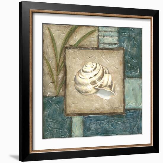 Shell Montage III-Vision Studio-Framed Art Print