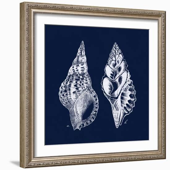 Shell Negative I-N. Harbick-Framed Art Print