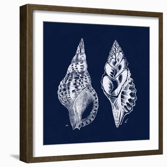 Shell Negative I-N. Harbick-Framed Art Print