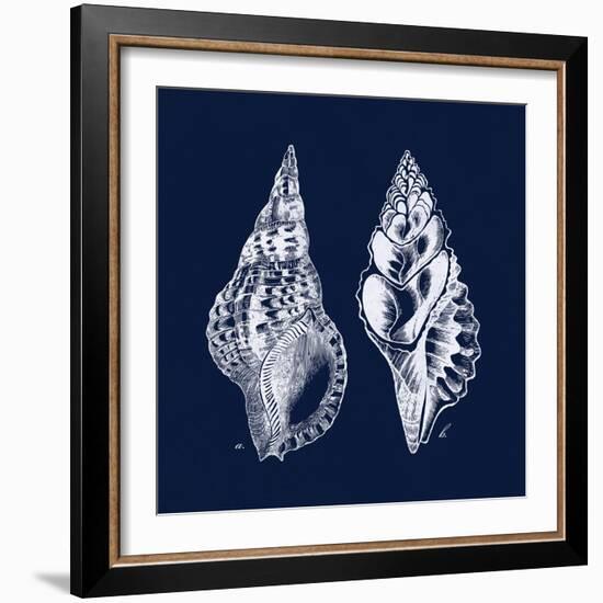 Shell Negative I-N. Harbick-Framed Art Print