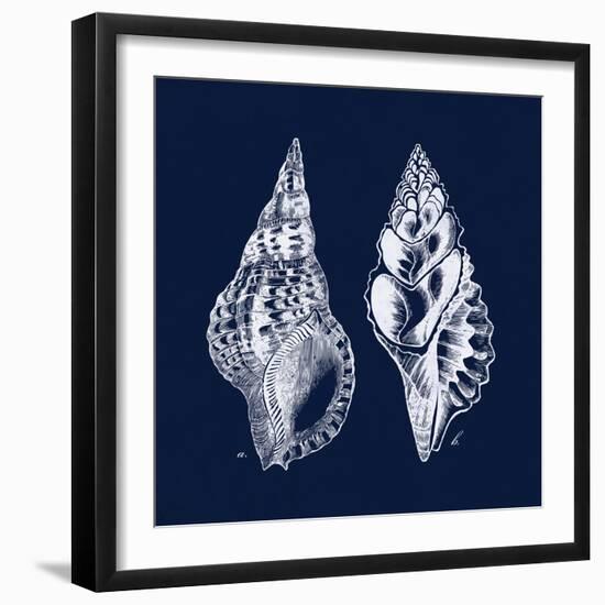 Shell Negative I-N. Harbick-Framed Art Print